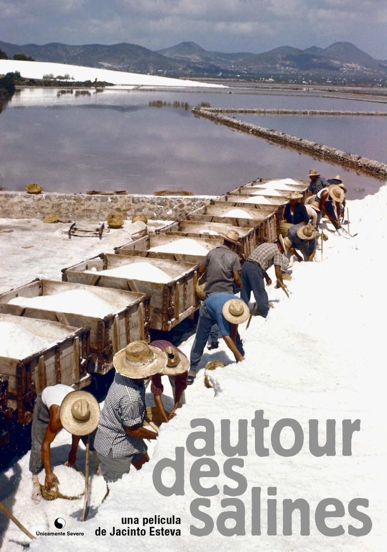 Poster of Autour des Salines