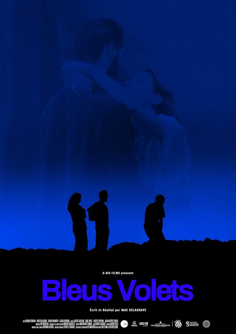 Poster of Bleus volets