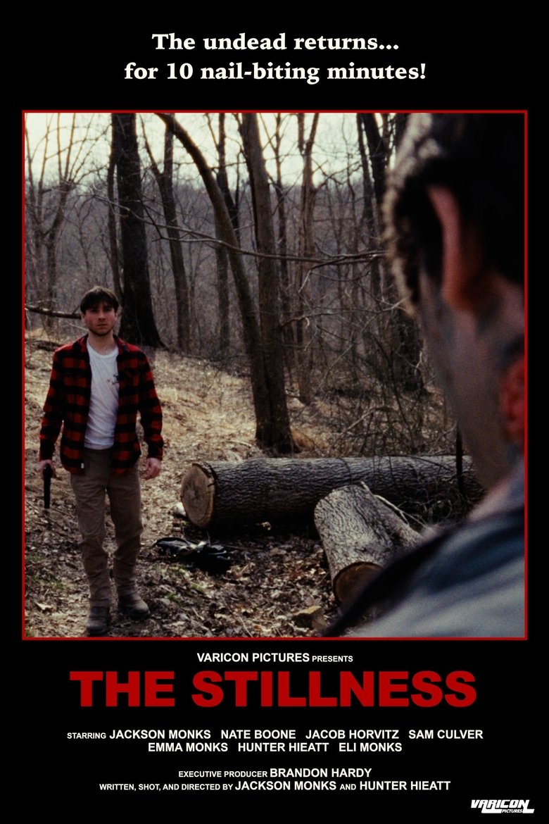 Poster of The Stillness