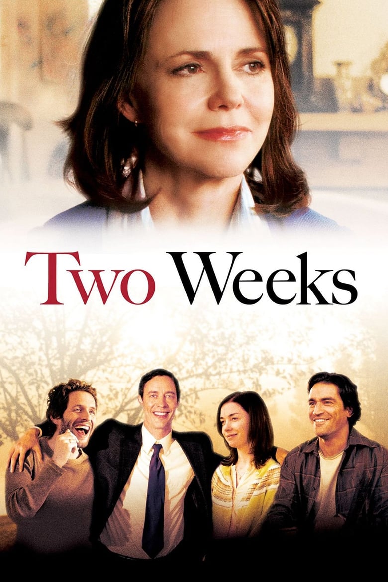 Poster of Two Weeks