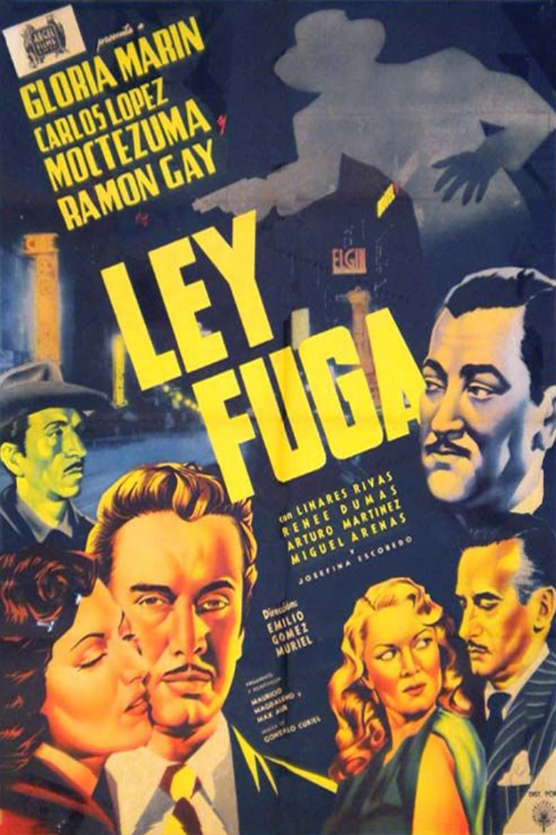 Poster of Ley fuga