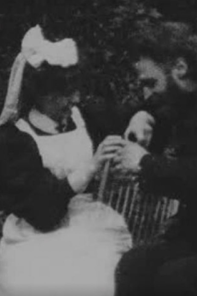 Poster of The Postman and the Nursemaid