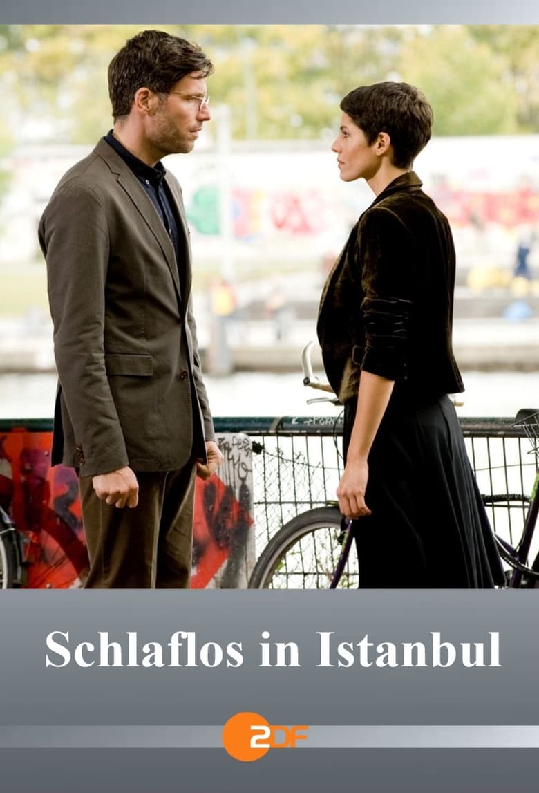 Poster of Schlaflos in Istanbul