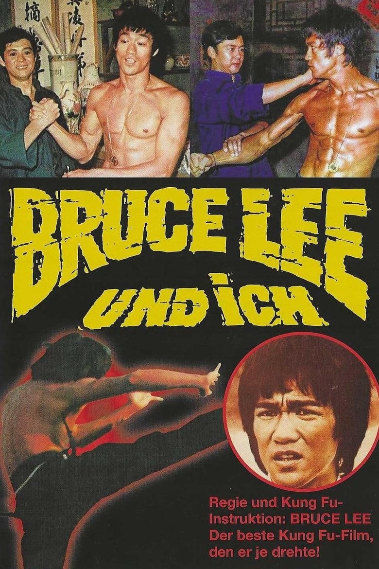 Poster of Fist of Unicorn