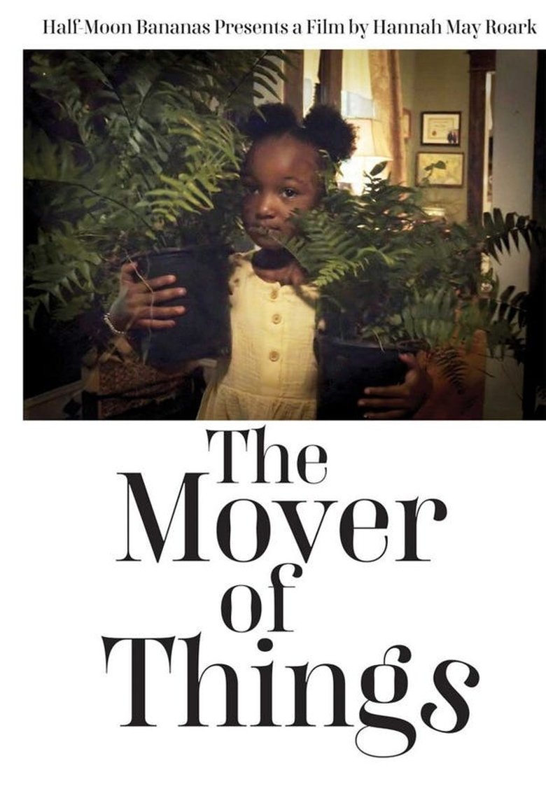 Poster of The Mover of Things
