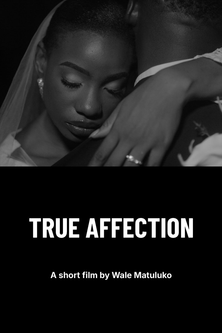 Poster of True Affection