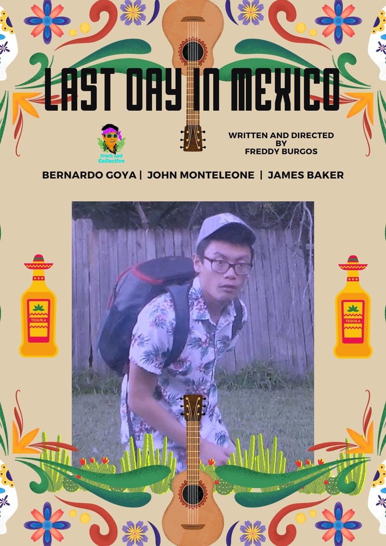 Poster of Last Day in Mexico