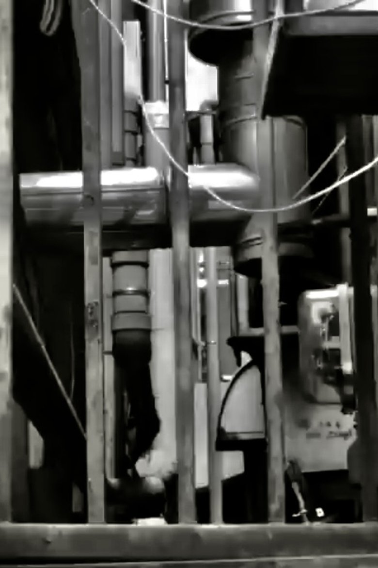 Poster of GAKUGEIDAIGAKU-MEGURO FUDO