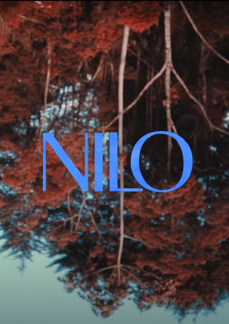 Poster of Nilo