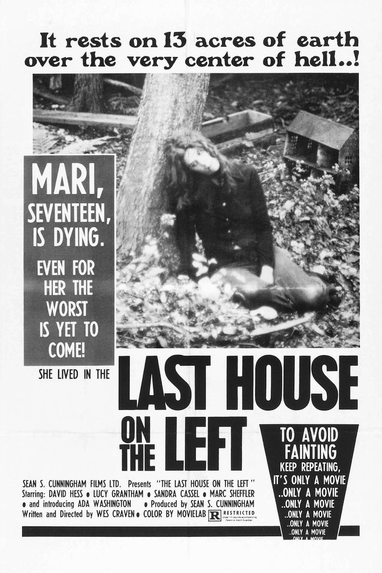 Poster of The Last House on the Left