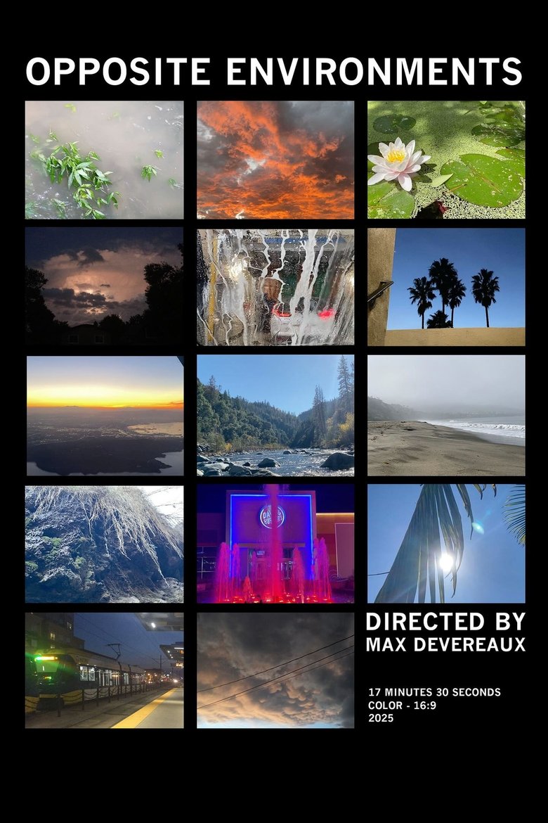 Poster of Opposite Environments