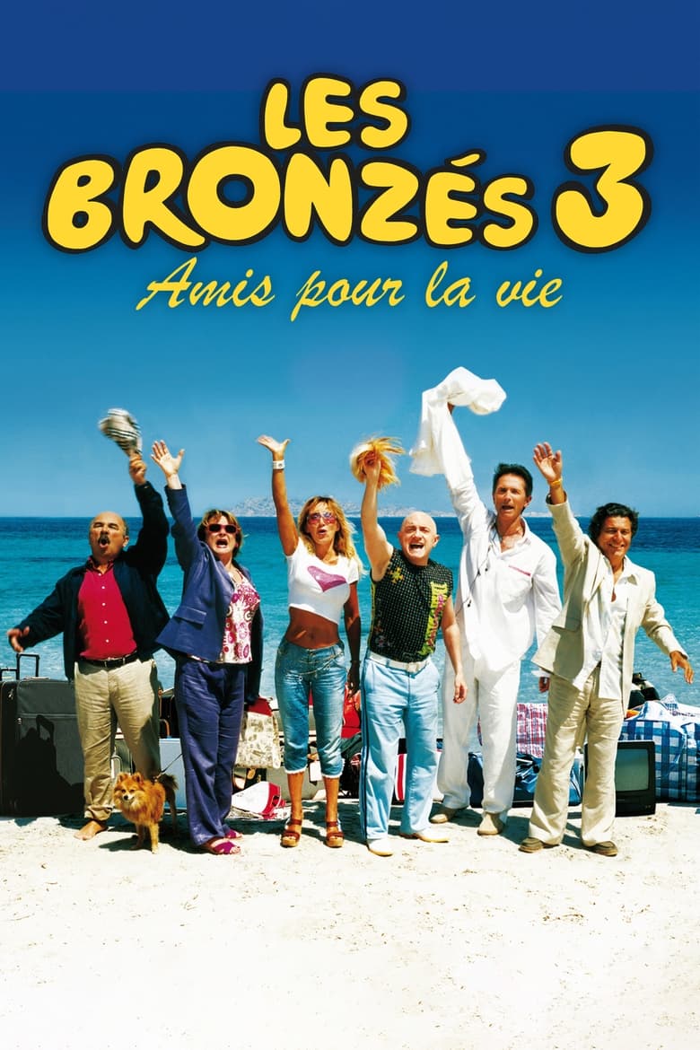 Poster of French Fried Vacations 3: Friends Forever