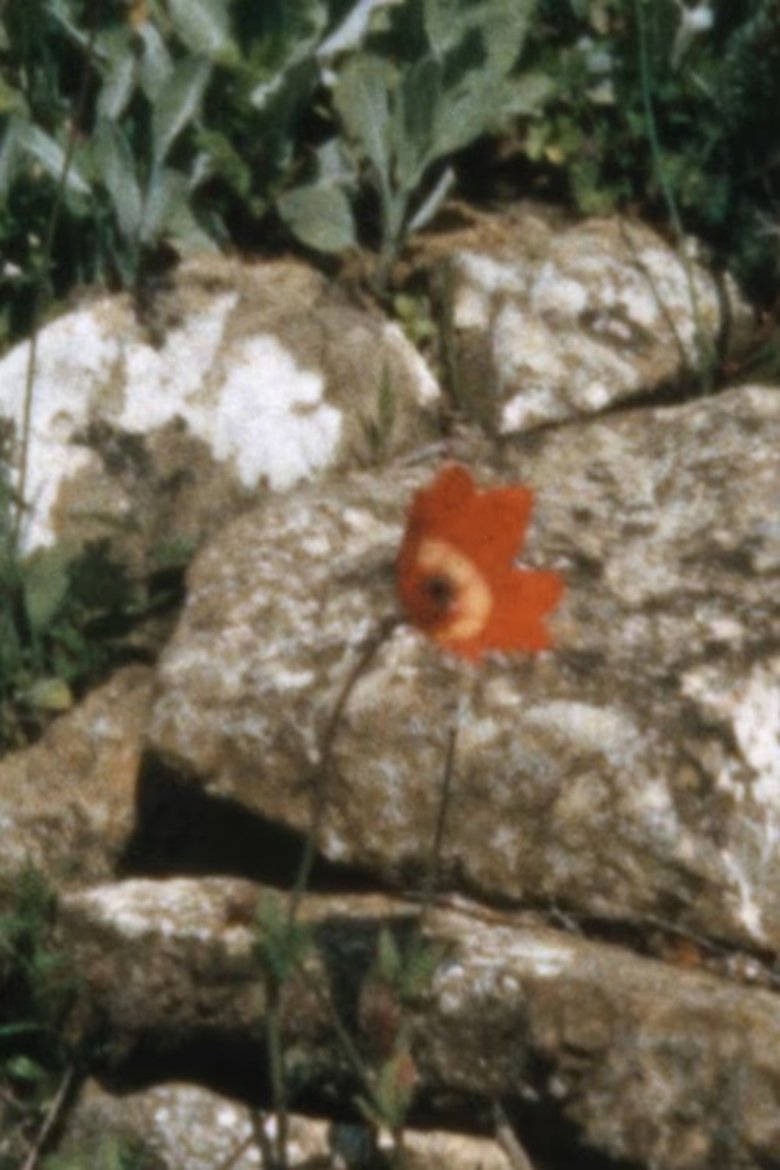 Poster of Tombs with birds, Messenia