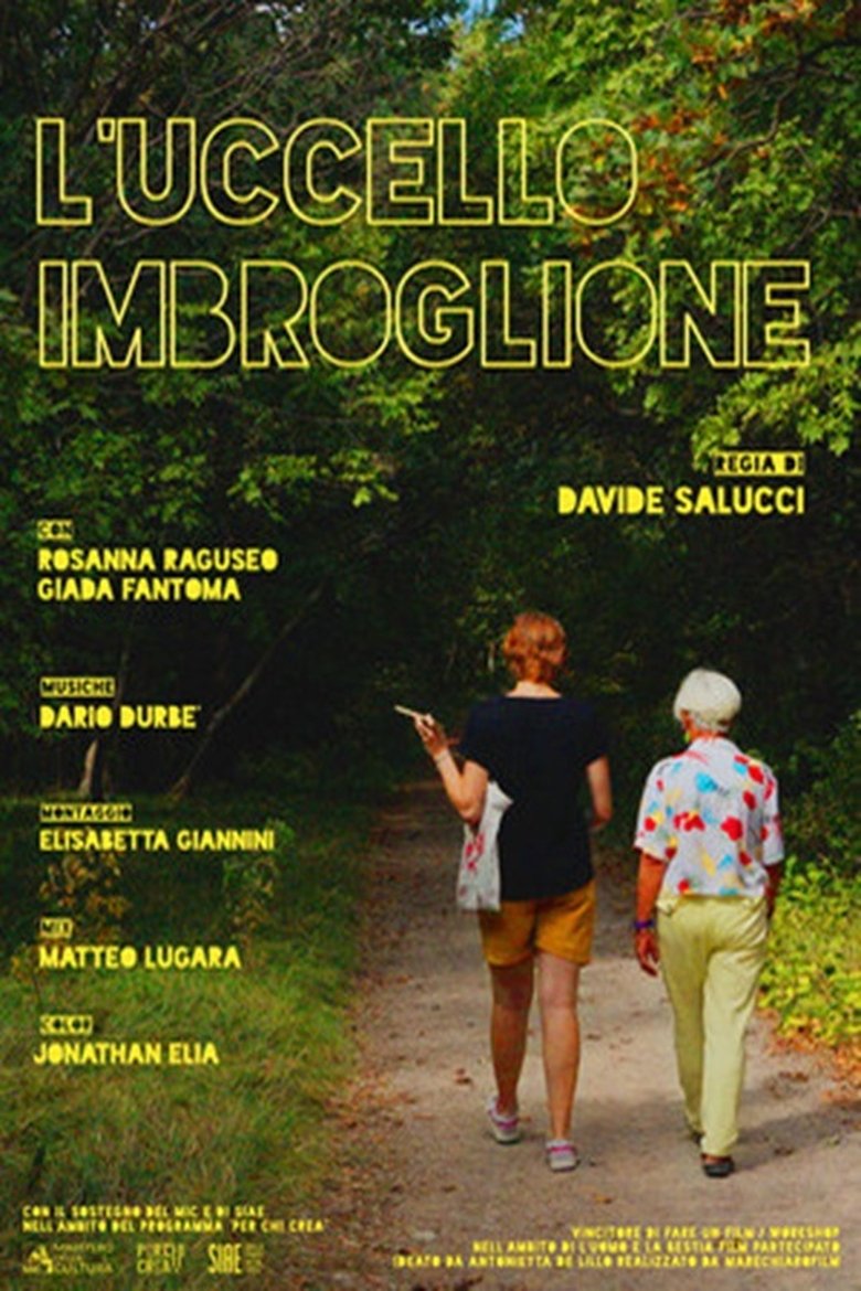 Poster of L'uccello imbroglione