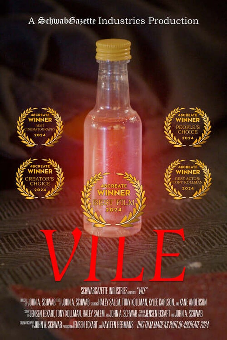 Poster of Vile