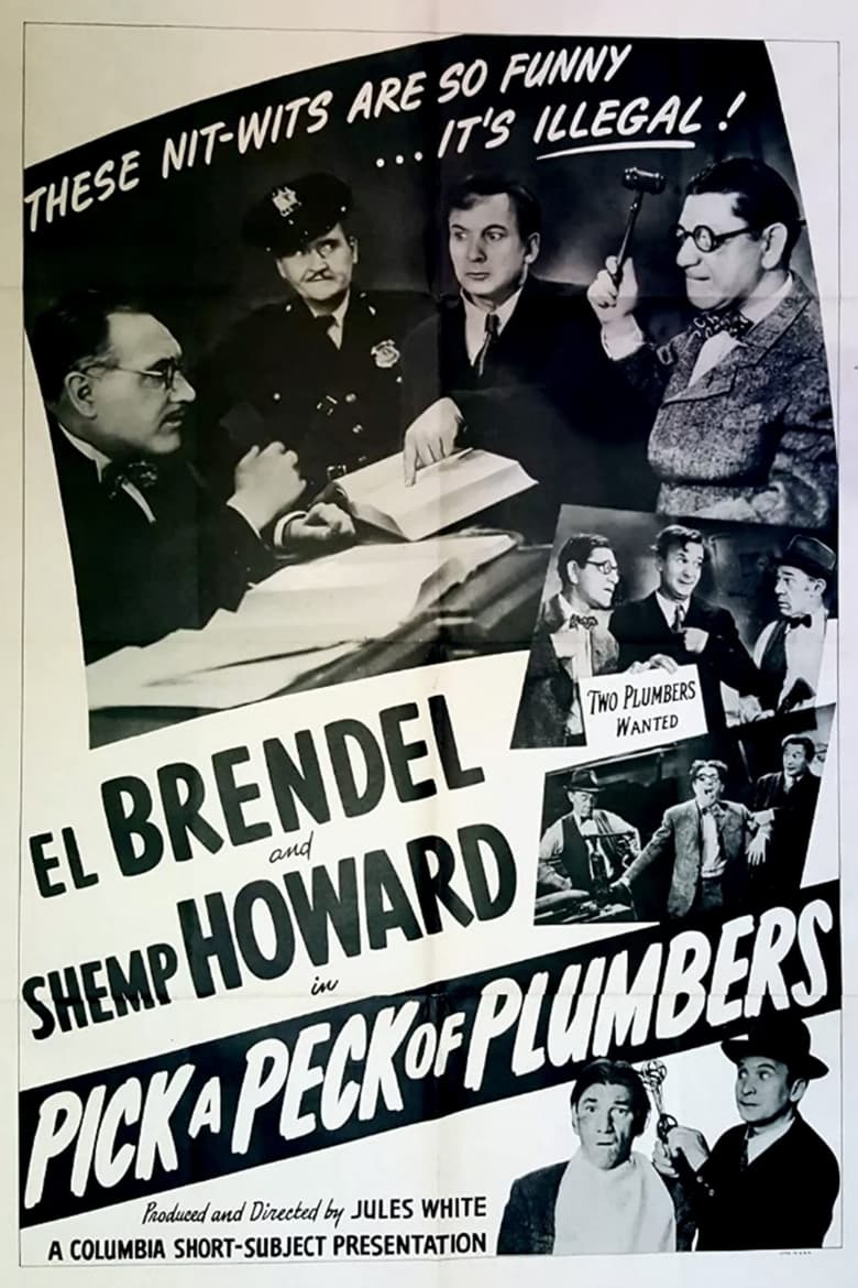 Poster of Pick a Peck of Plumbers