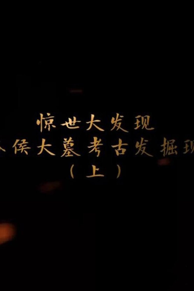 Poster of 海昏侯大墓考古现场