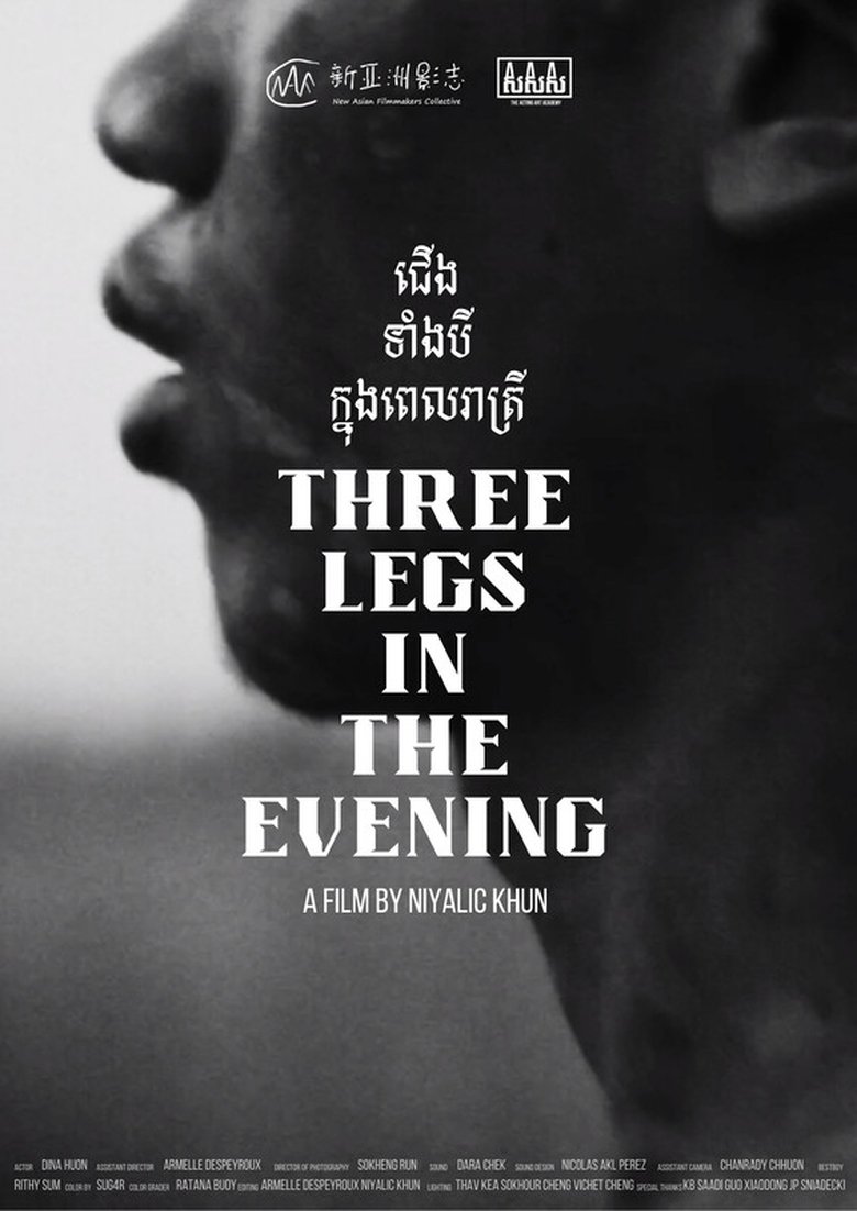 Poster of Three Legs in the Evening