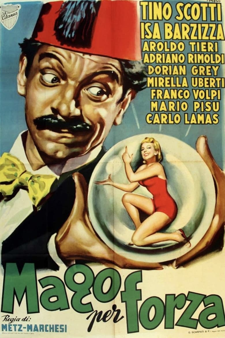 Poster of Il mago per forza