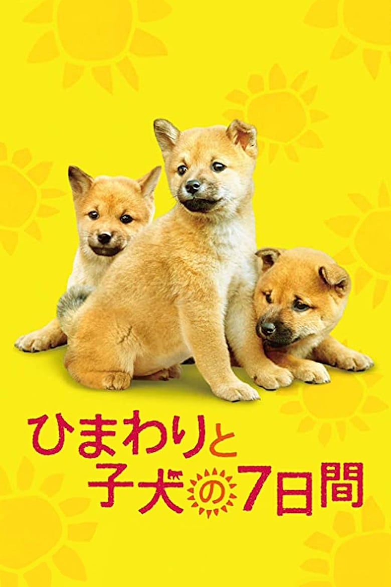 Poster of 7 Days of Himawari & Her Puppies